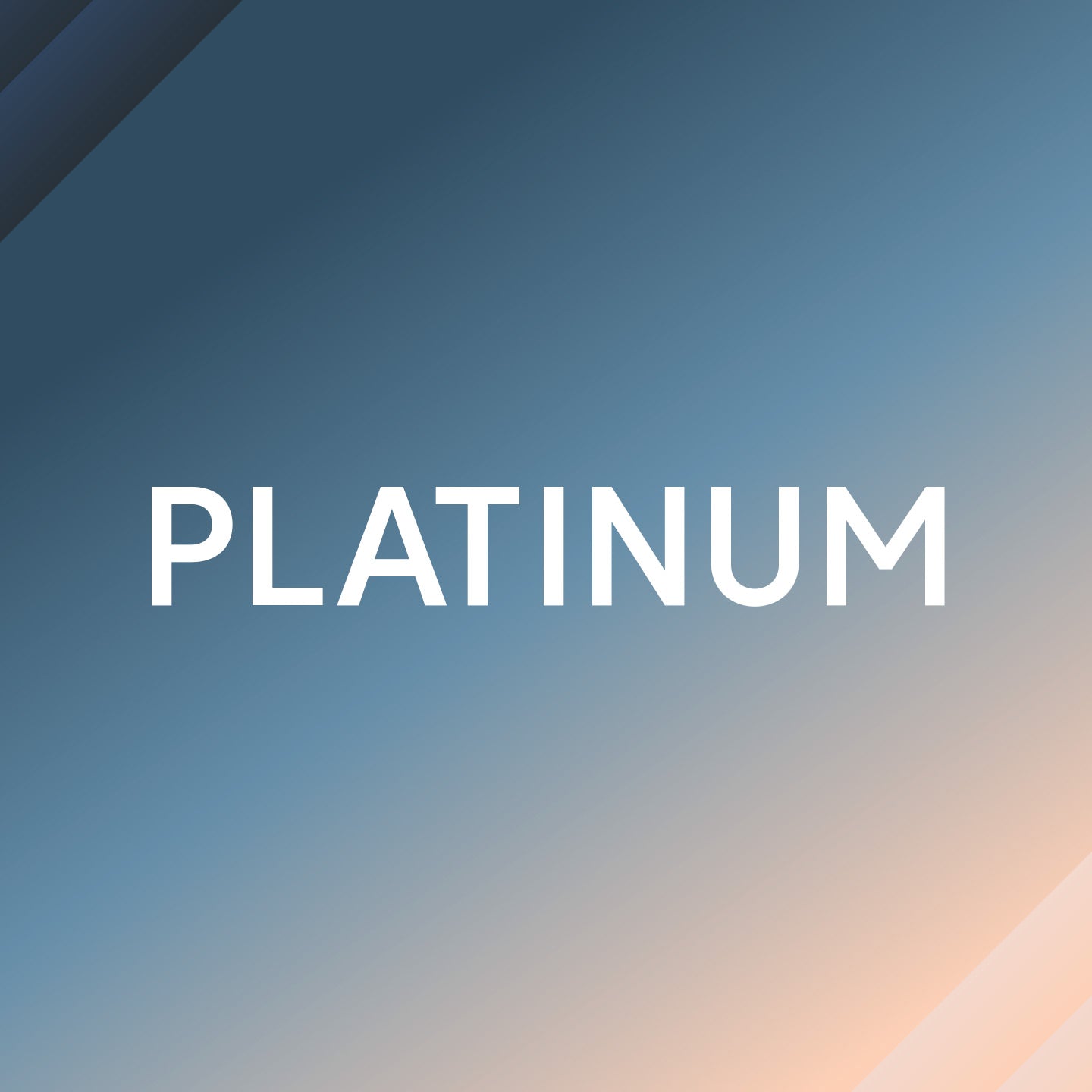 Platinum Support Plan