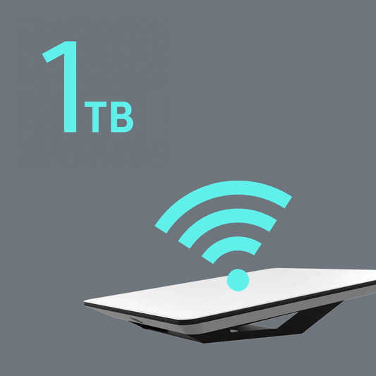 In-Motion 1TB